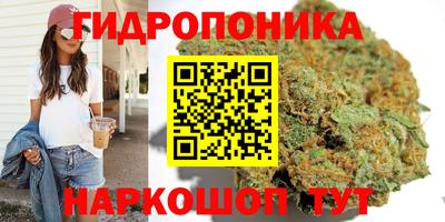 mdpv Апшеронск